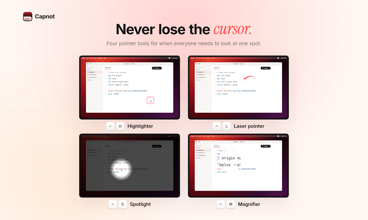 Four pointer tools: highlighter, laser pointer, spotlight and magnifier.